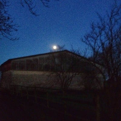 måne_over_lade_december