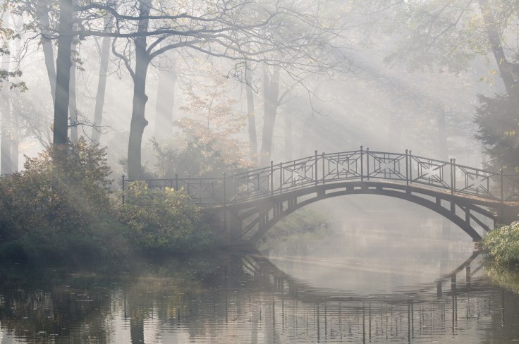 Misty Bridge