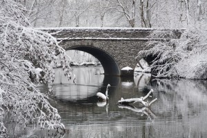 winter-bridge