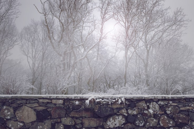 old-stone-wall_winter