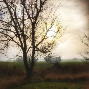february-light_imbolc