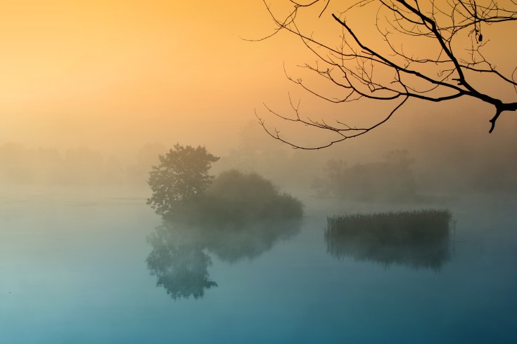 Misty Morning Lake