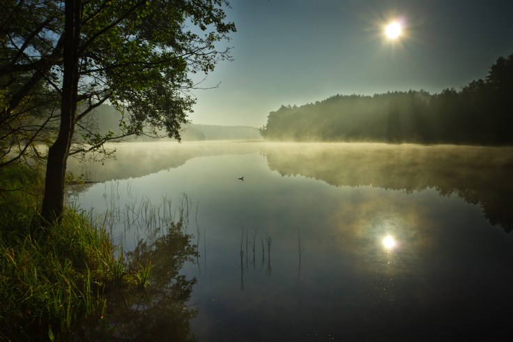 Sunrise Misty Lake