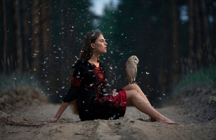 Owl and Girl