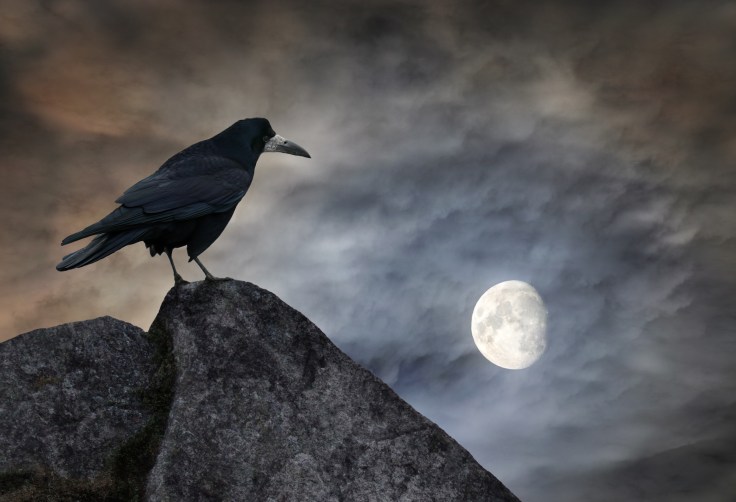 Raven Full Moon
