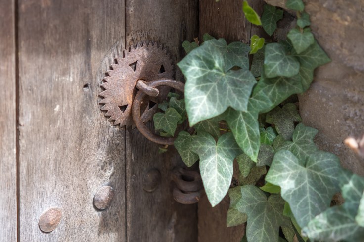Ivy and the old door