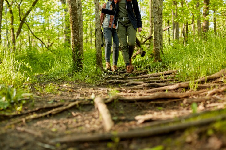 Two women hiking together through woodland