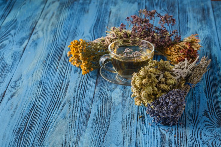 Herbal tea. Herbs and flowers, herbal medicine.