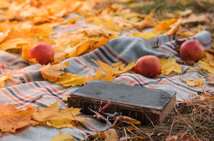 Book ground autumn
