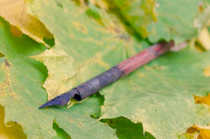 pen for writing and colorful autumn leaves