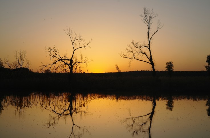 Landscape with river at early morning time