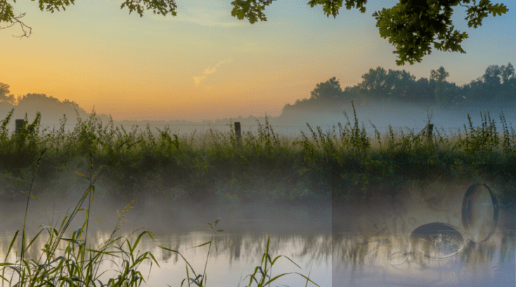 Kvinden som bader i stilhed